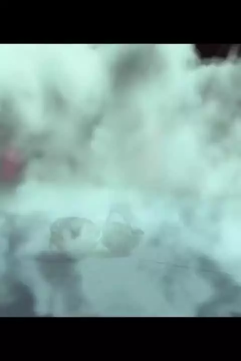 Доктор Весна