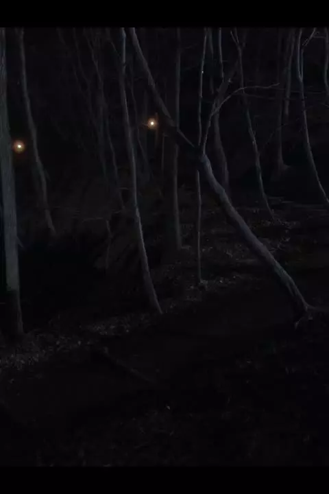 Достучаться до тебя