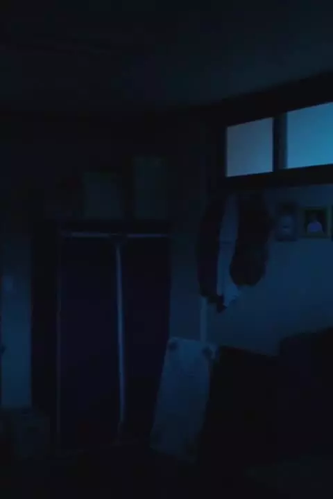 Фальсификация