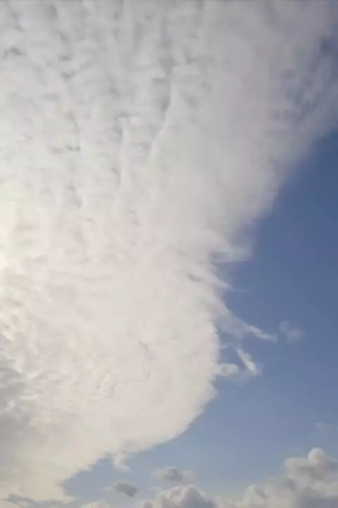 Кровь