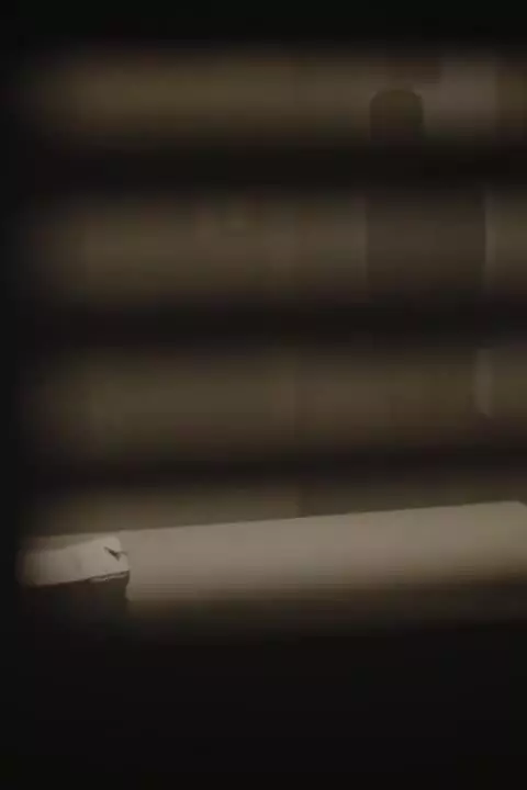 Последняя императрица