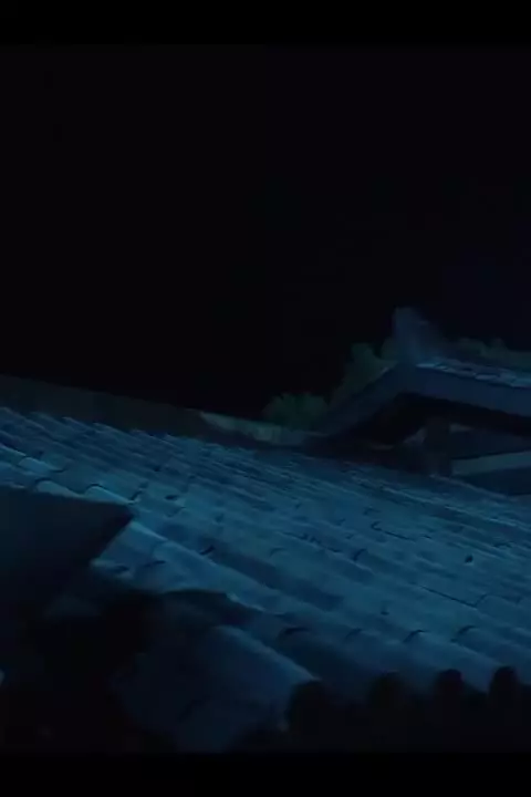 Убей меня, люби меня
