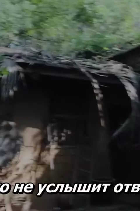 Тайна о коте-демоне в академии Циншань