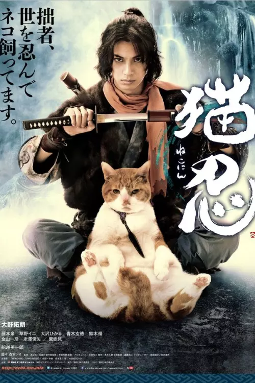 Ниндзя и кот